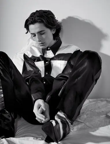 Timothee Chalamet Wall Poster picture 918386