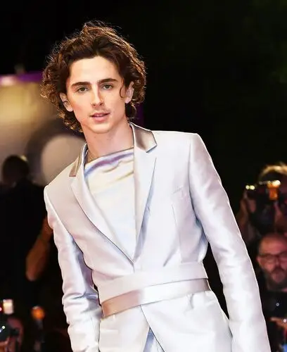 Timothee Chalamet Jigsaw Puzzle picture 918391
