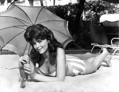 Tina Louise Jigsaw Puzzle picture 327784