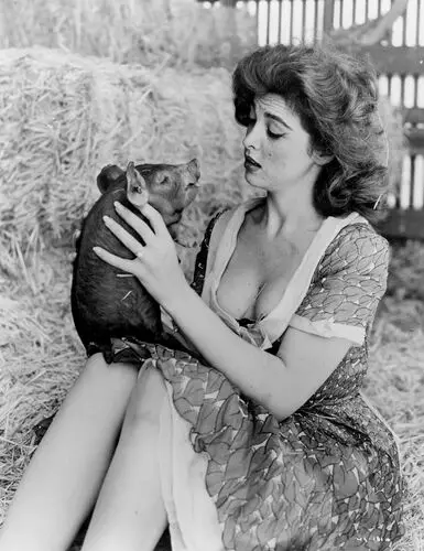 Tina Louise Image Jpg picture 327788