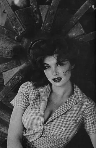 Tina Louise Image Jpg picture 327806