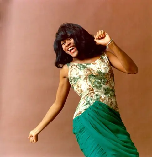 Tina Turner White T-Shirt - idPoster.com