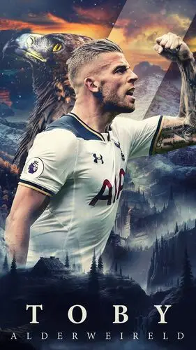 Toby Alderweireld Wall Poster picture 711132