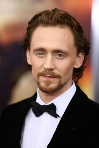 Tom Hiddleston Wall Poster picture 209388