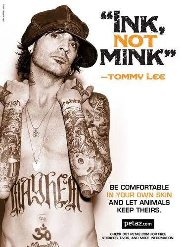 Tommy Lee Wall Poster picture 103335