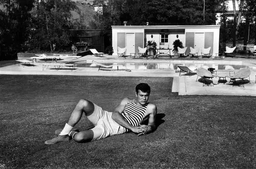 Tony Curtis Wall Poster picture 330688