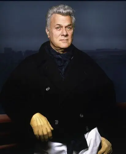 Tony Curtis Wall Poster picture 524333