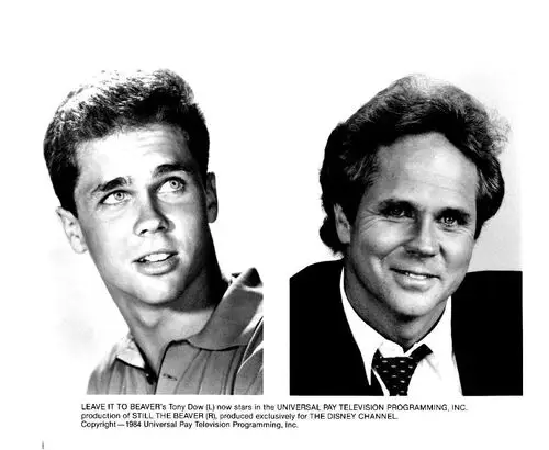 Tony Dow Jigsaw Puzzle picture 932184
