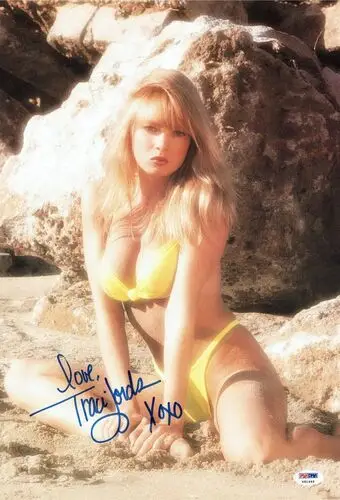 Traci Lords Wall Poster picture 905371