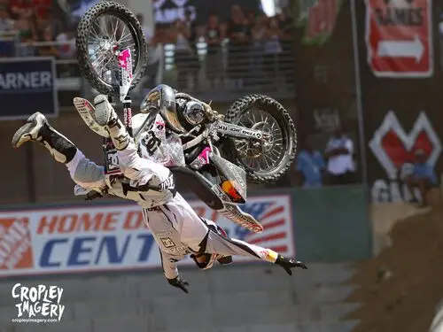 Travis Pastrana Wall Poster picture 163842