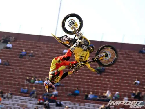 Travis Pastrana Wall Poster picture 163872