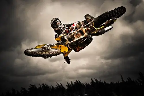Travis Pastrana Wall Poster picture 163875