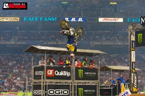 Travis Pastrana Wall Poster picture 163887