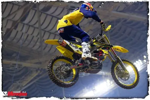 Travis Pastrana Wall Poster picture 163889