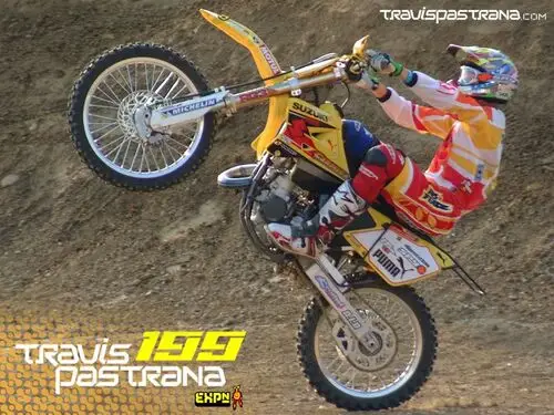 Travis Pastrana Wall Poster picture 163955
