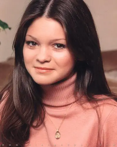 Valerie Bertinelli Wall Poster picture 103471