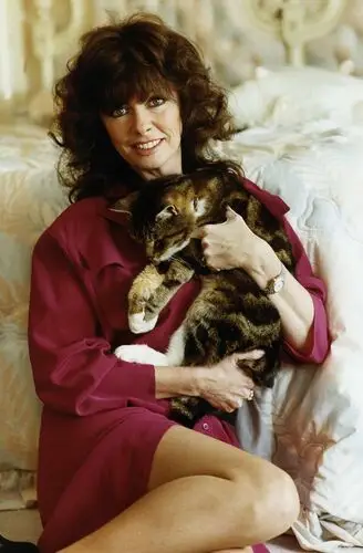 Vicki Michelle Wall Poster picture 333595