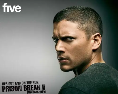 Wentworth Miller Jigsaw Puzzle picture 110716