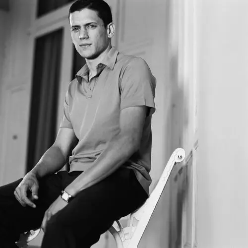 Wentworth Miller Wall Poster picture 20651