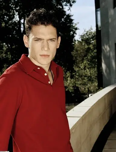 Wentworth Miller Wall Poster picture 478114