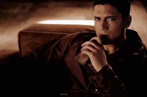 Wentworth Miller Wall Poster picture 488270