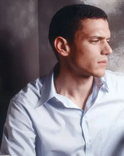 Wentworth Miller Wall Poster picture 488274