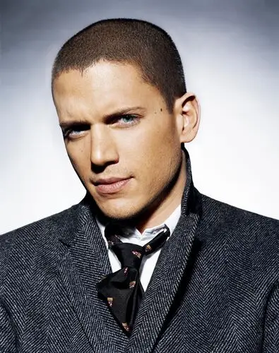Wentworth Miller Wall Poster picture 495571