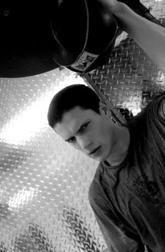 Wentworth Miller Wall Poster picture 504539