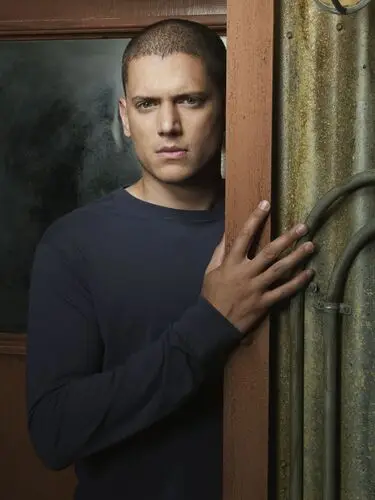Wentworth Miller Wall Poster picture 504549