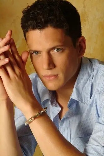 Wentworth Miller Wall Poster picture 526444