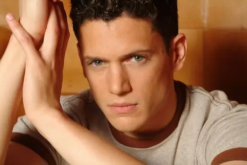 Wentworth Miller Wall Poster picture 526445