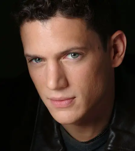 Wentworth Miller Wall Poster picture 526451