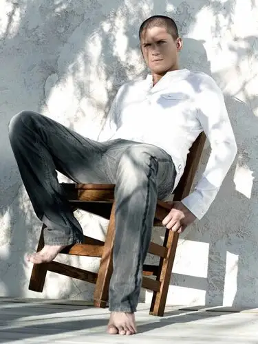 Wentworth Miller Wall Poster picture 72491