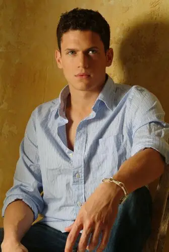 Wentworth Miller Wall Poster picture 884039