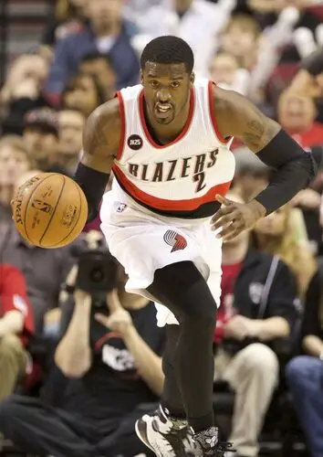 Wesley Matthews Wall Poster picture 718088