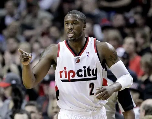 Wesley Matthews Wall Poster picture 718120