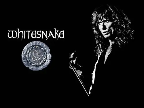 Whitesnake Fridge Magnet picture 824635