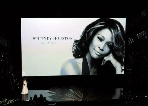 Whitney Houston White T-Shirt - idPoster.com