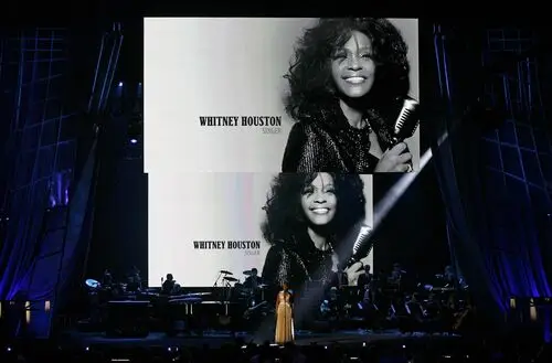 Whitney Houston Men's Colored  Long Sleeve T-Shirt - idPoster.com