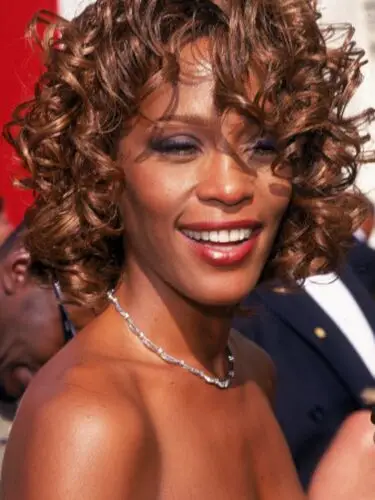 Whitney Houston Men's Colored Hoodie - idPoster.com