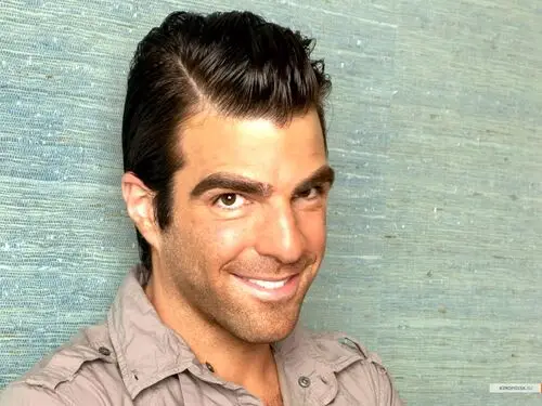 Zachary Quinto Jigsaw Puzzle picture 20761
