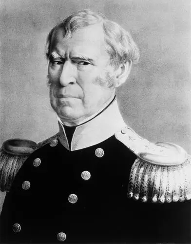 Zachary Taylor Wall Poster picture 478738
