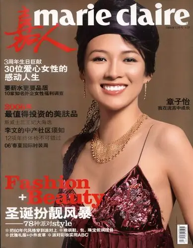 Ziyi Zhang Wall Poster picture 68176