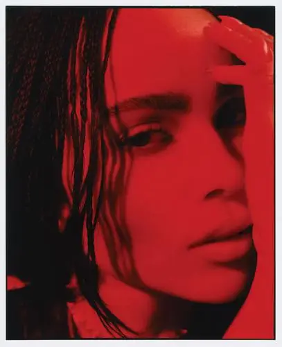 Zoe Kravitz Wall Poster picture 1087321