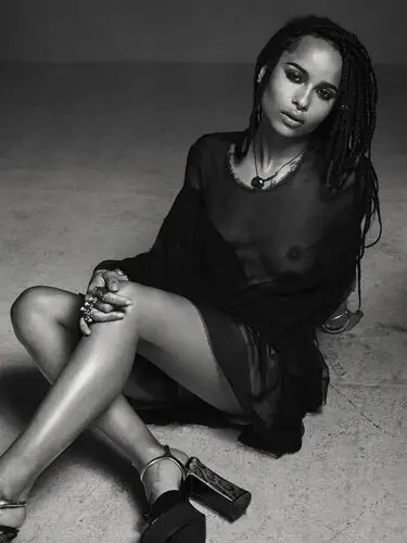 Zoe Kravitz Wall Poster picture 555277