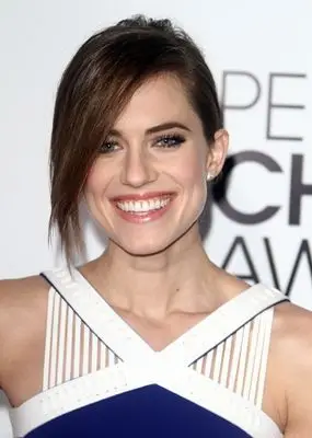 Allison Williams (events) Wall Poster picture 290579