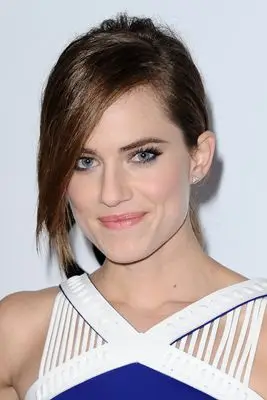 Allison Williams (events) Wall Poster picture 290585