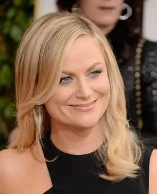 Amy Poehler (events) Computer MousePad picture 290700