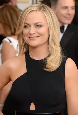 Amy Poehler (events) Wall Poster picture 290701