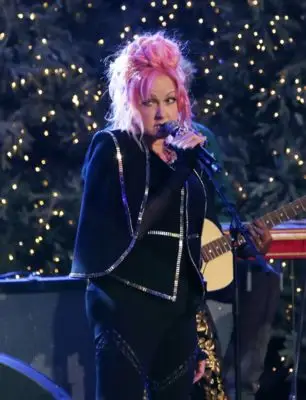 Cyndi Lauper (events) Jigsaw Puzzle picture 100708